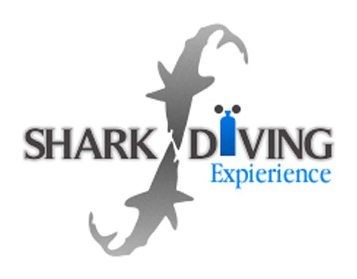 Shark Dive